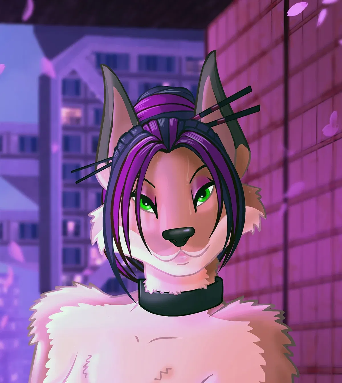 Avatar of Rio Davis 