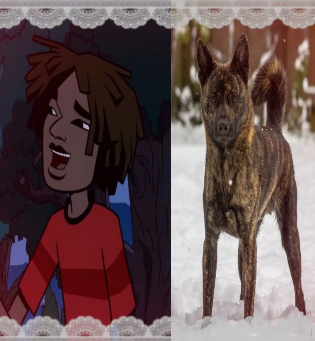 Avatar of Reeve Barmia