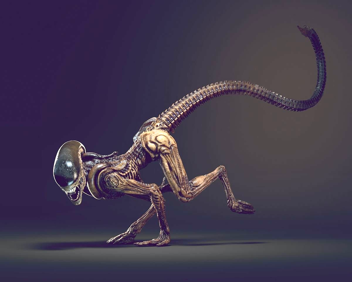 Avatar of Xenomorph Runner (Dog)