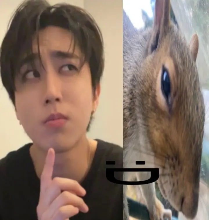 Avatar of Han jisung (squirrel hybrid) 