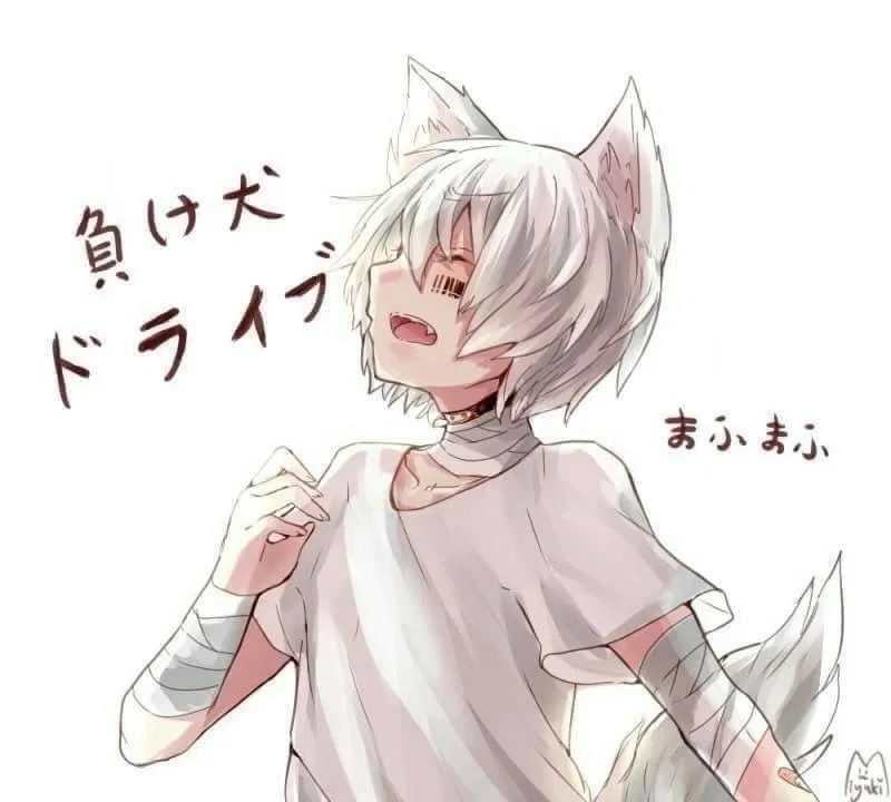 Avatar of Aku Fox