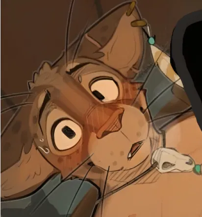 Avatar of Lucas 