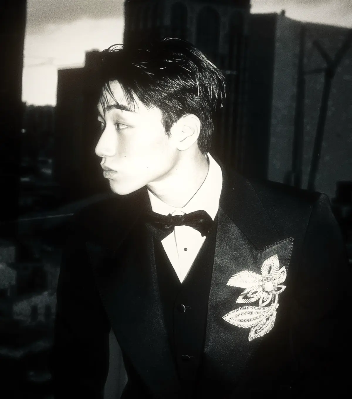 Avatar of choi san | a bird locked in a golden cage