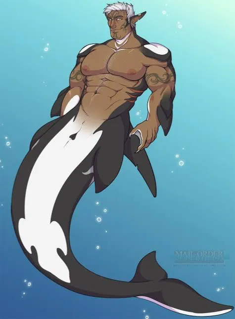 Avatar of Finn