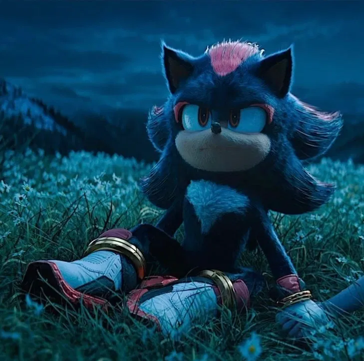 Avatar of Shadow The Hedgehog