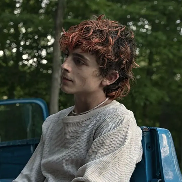 Avatar of Lee (Bones and All)