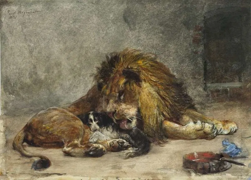 Avatar of Solar | Lion hybrid