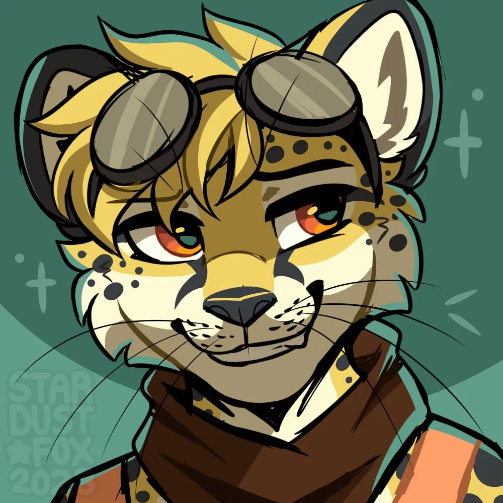 Avatar of Ashir Lostrupho