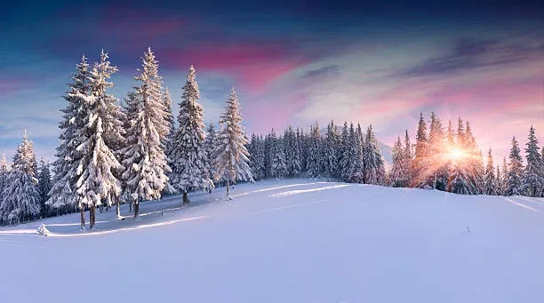 Avatar of Endless Winter