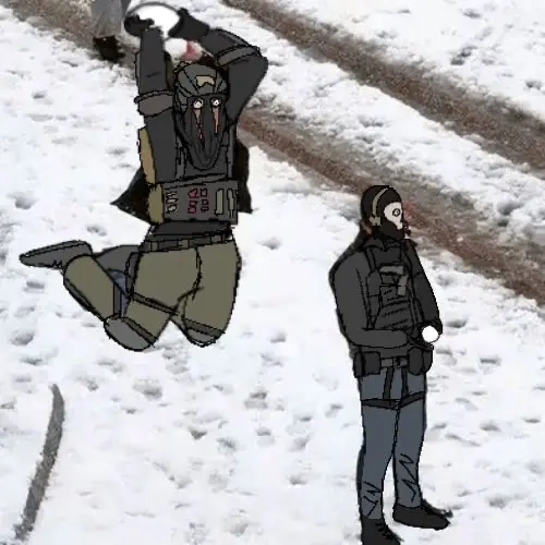 Avatar of Task force 141 - picking out their hybrids