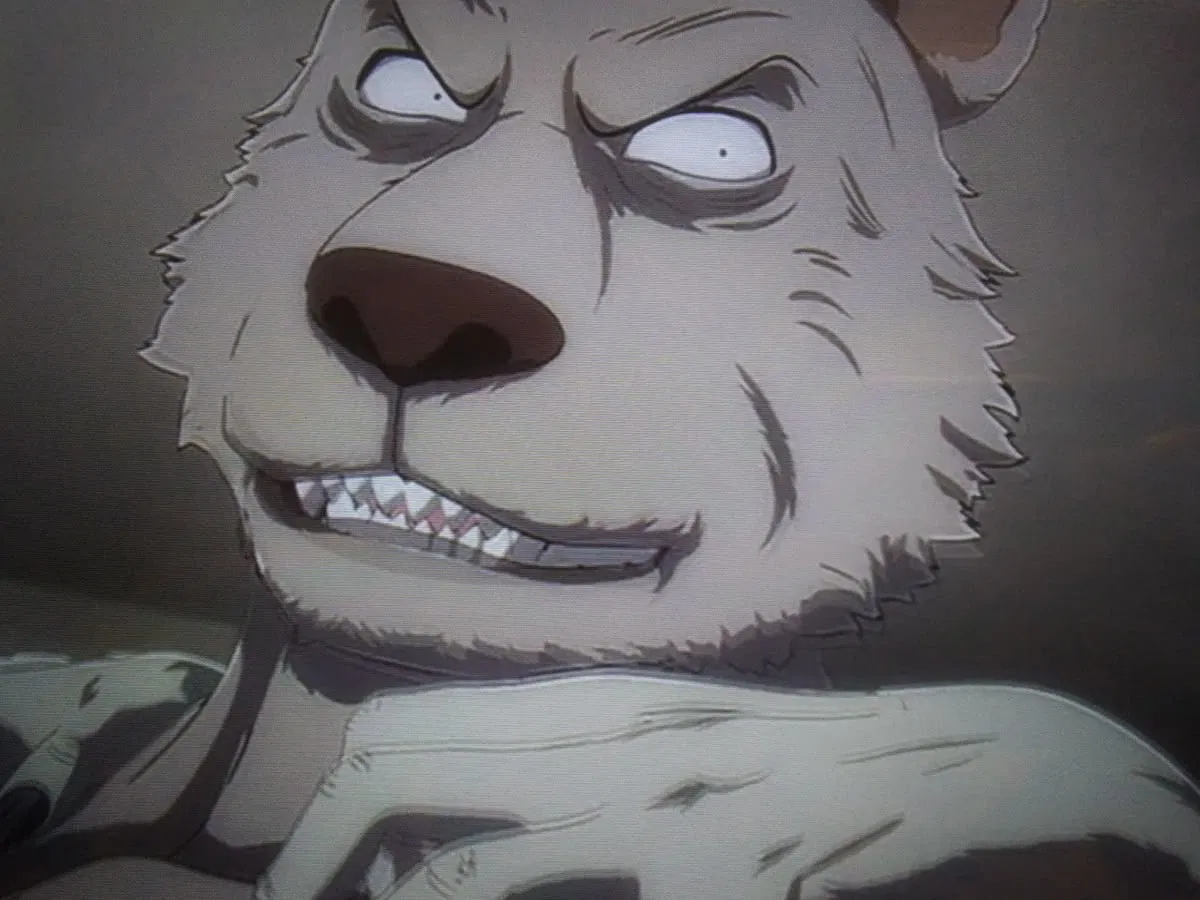 Avatar of Riz