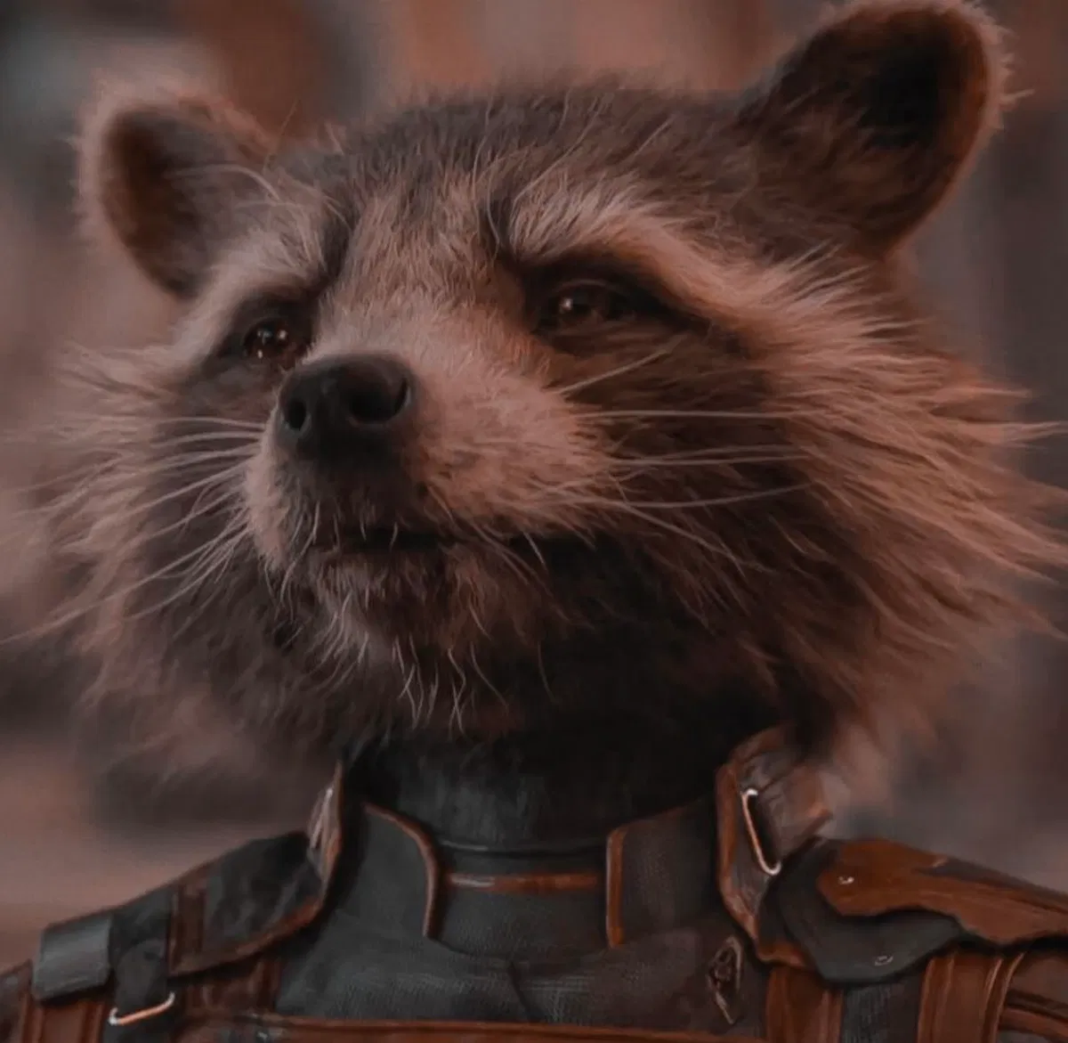 Avatar of Rocket