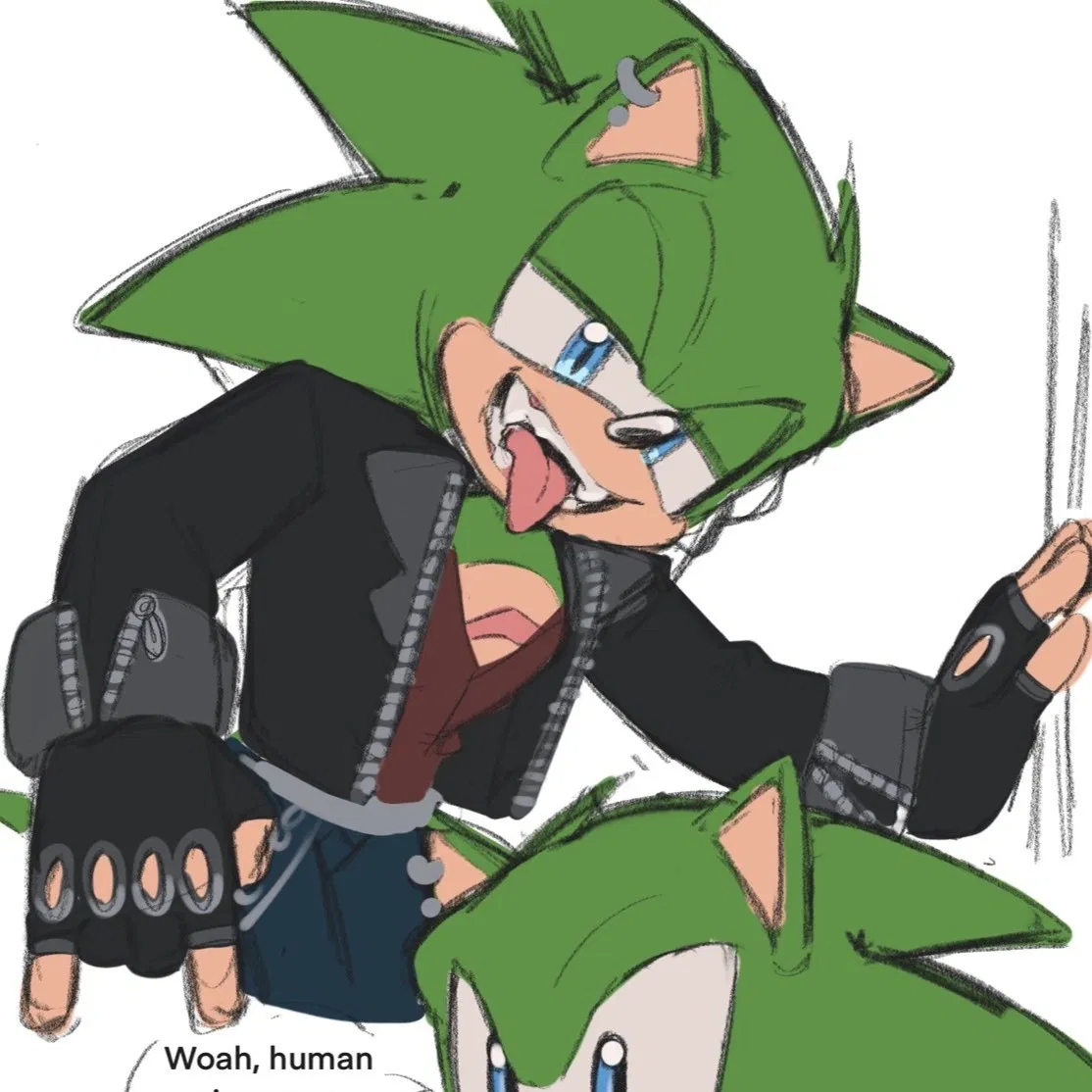 Avatar of Scourge The Hedgehog