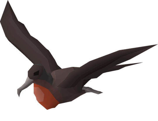 Avatar of Frigatebird
