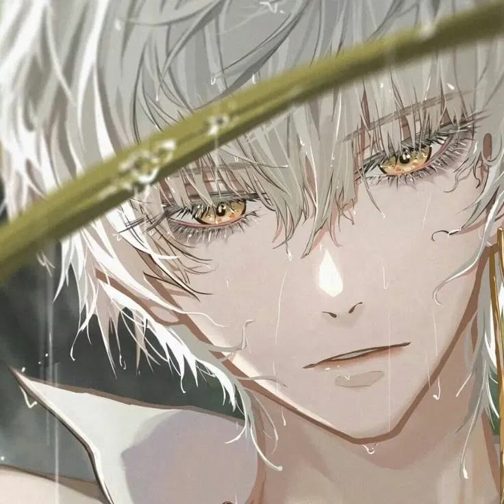 Avatar of Your miserable, hot tempered Subordinate