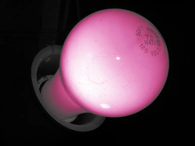 Avatar of BubbleYou bubblegum
