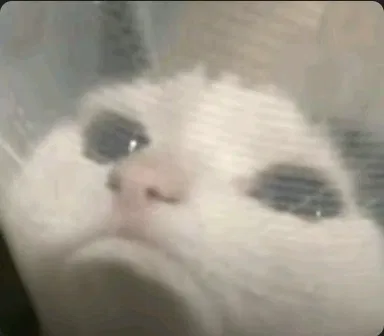 Avatar of DSMP mean stream......