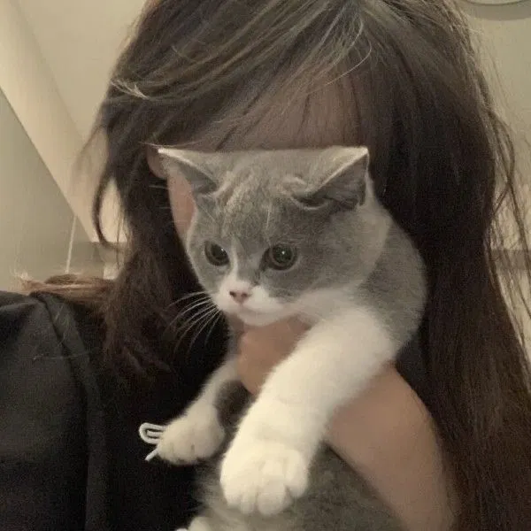 Avatar of Ari•|ur Ex bff•|semi cat (enemies to lovers,gl,gxg,wlw)