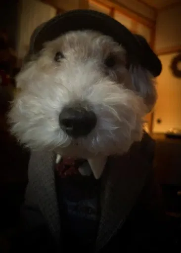 Avatar of Listen dear chaps