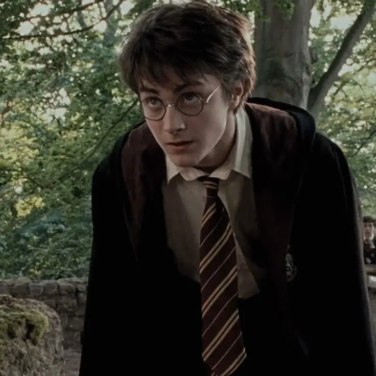 Avatar of Harry Potter