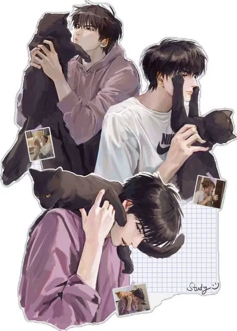 Avatar of °•Kaede Rukawa || Cat person•°