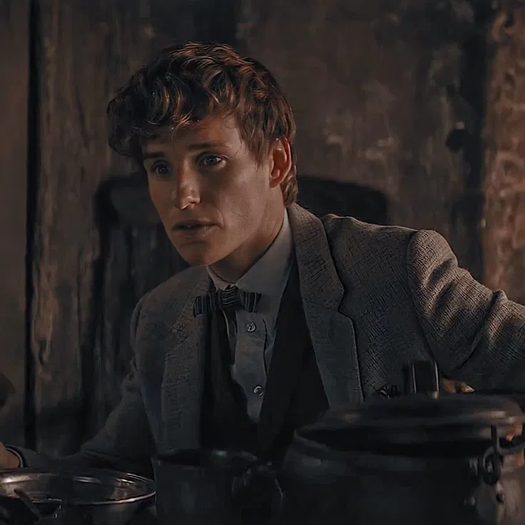 Avatar of Fantastic Beasts — Newt Scamander