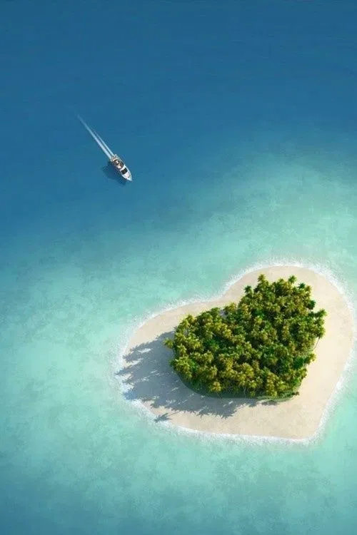 Avatar of LOVE ISLAND 🏝️ 