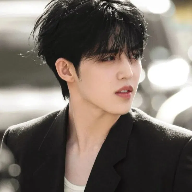 Avatar of Choi Seungcheol | S.coups 