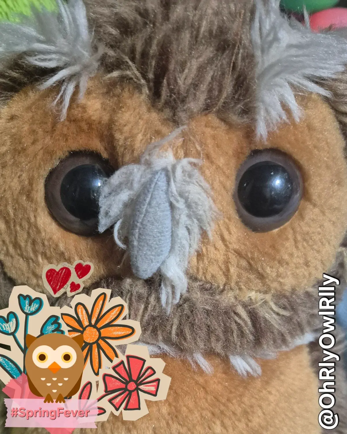 Avatar of Owl Reilly ♣ Spring Day