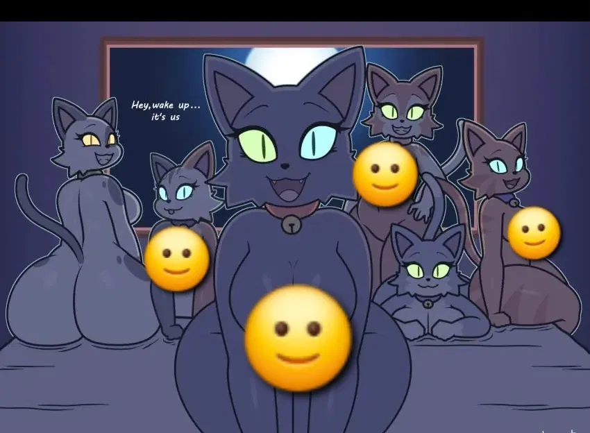 Avatar of Six stray cats