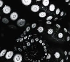 Avatar of Pet tentacles 