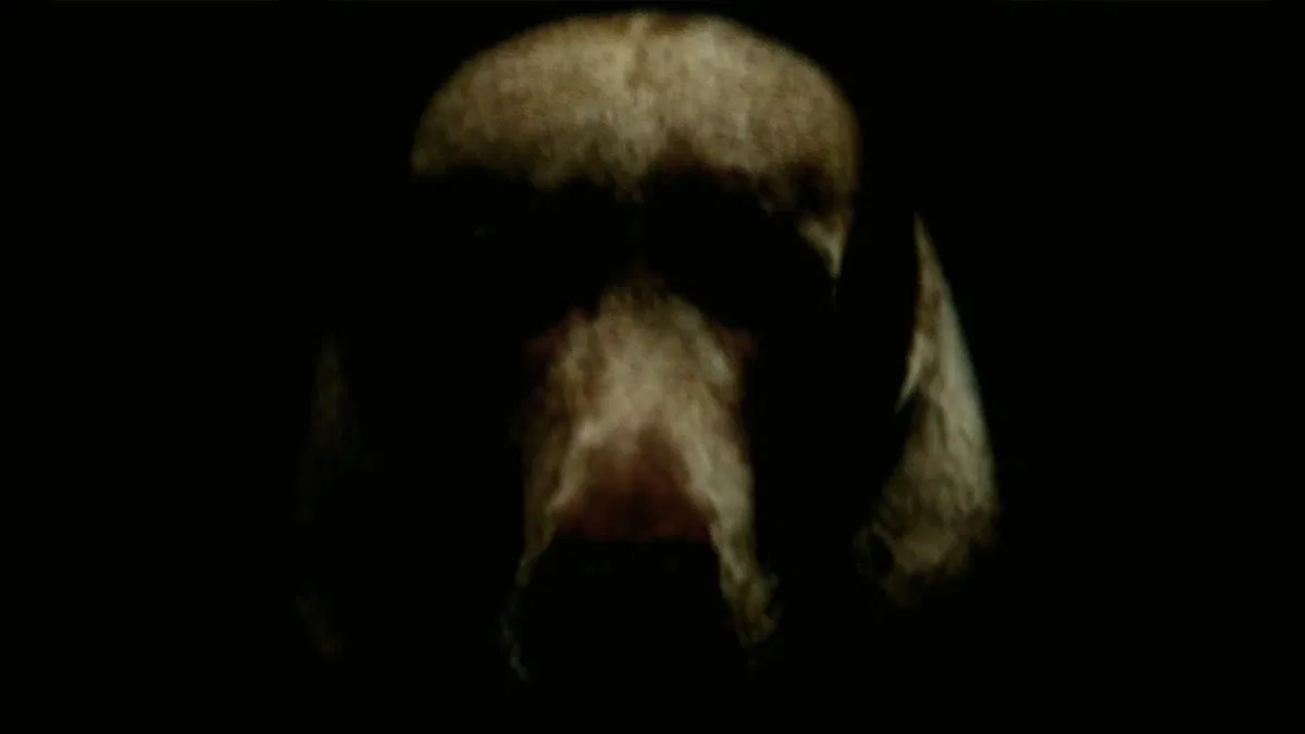 Avatar of Dog Nightmares