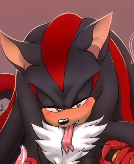 Avatar of Shadow the hedgehog 
