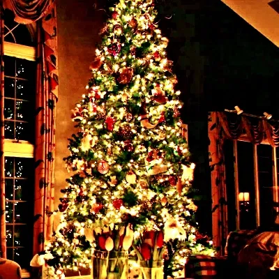 Avatar of Almost Merry Christmas :D