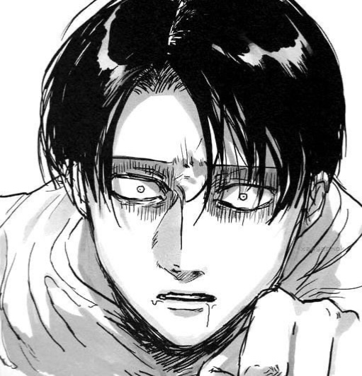 Avatar of Levi Ackerman 🖤