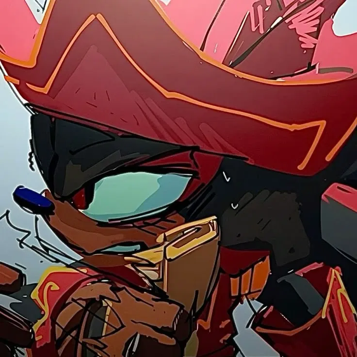 Avatar of ★ ⋮ Pirate Captain | Shadow The Hedgehog ⸝⸝