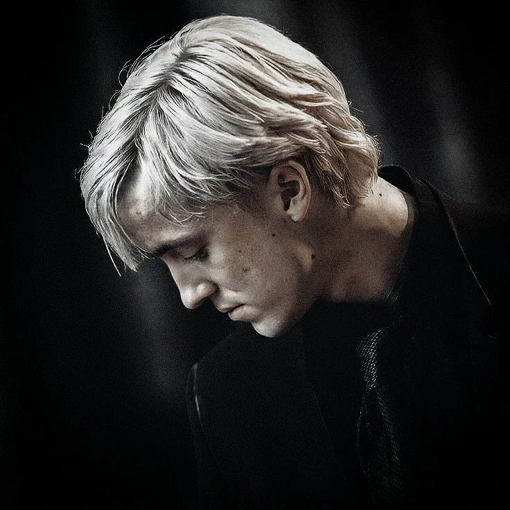 Avatar of ♡ ⸝⸝ Draco Malfoy◞