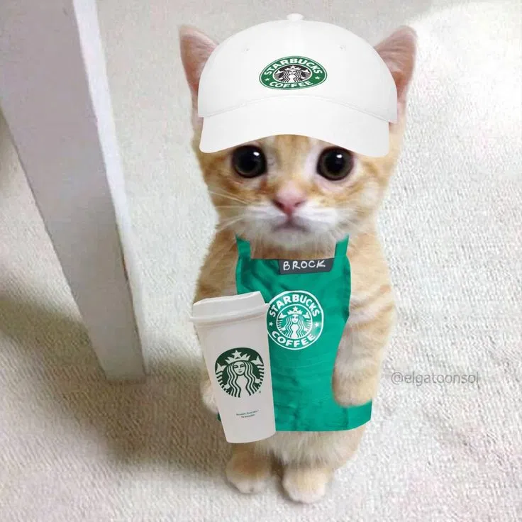 Avatar of Read Description :3