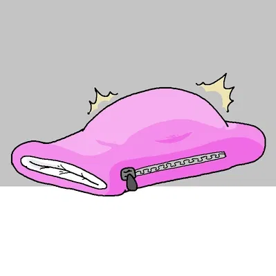 Avatar of Sleeping Bag Mimmic