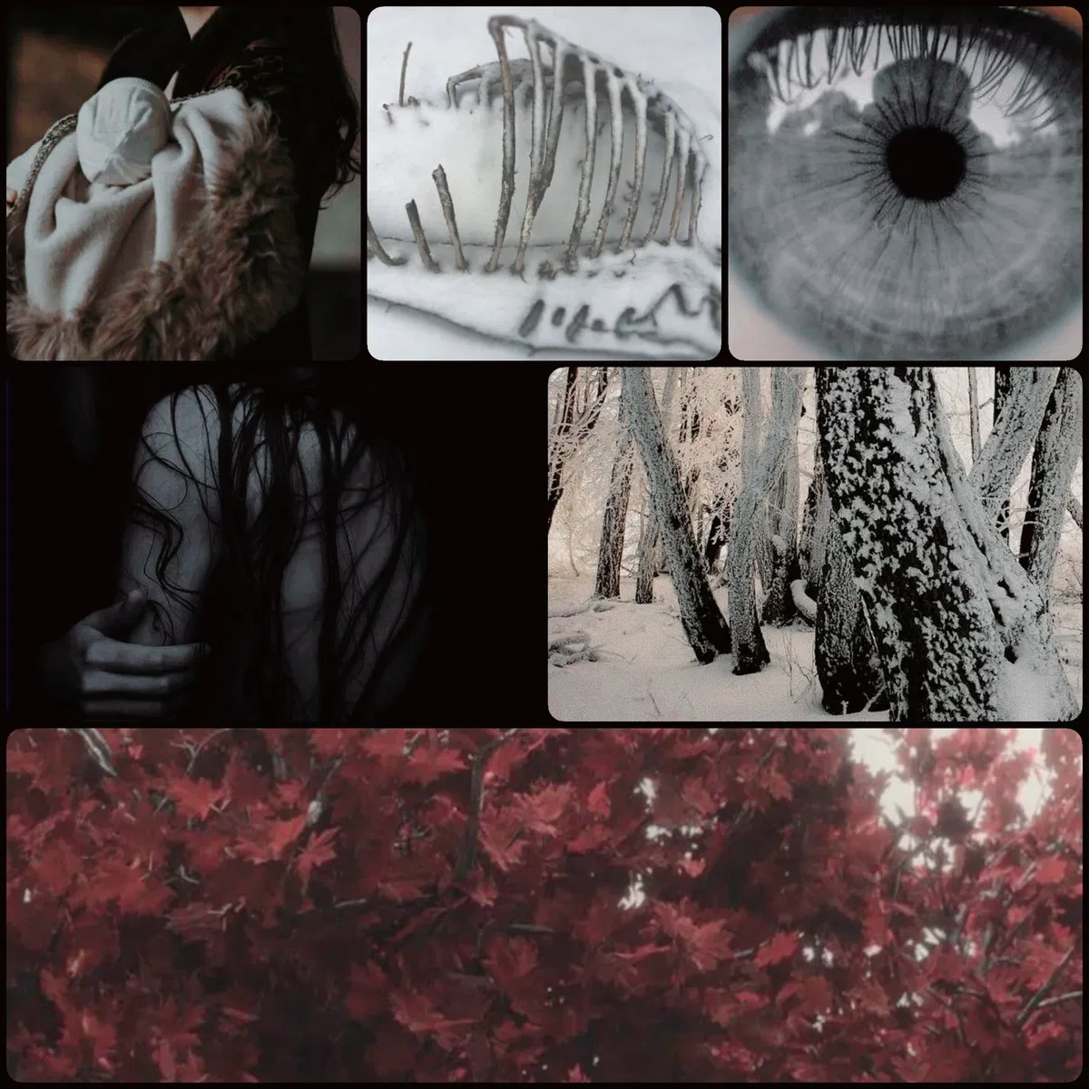 Avatar of Ravina Bolton