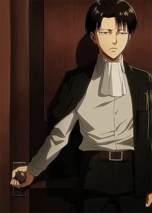 Avatar of •Levi Ackerman• v2