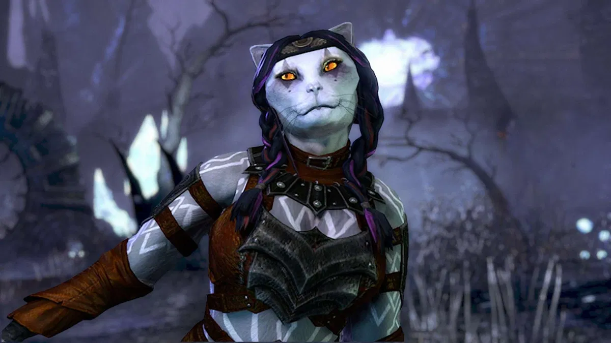 Avatar of Dashy Tequila