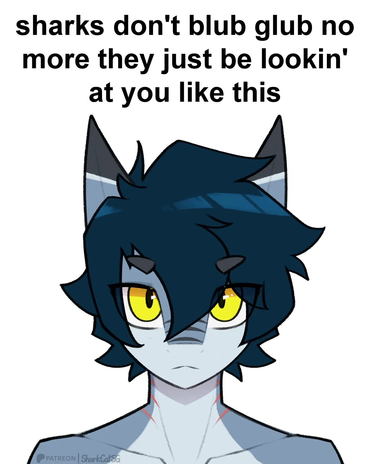 Avatar of The best shar you've ever see 
