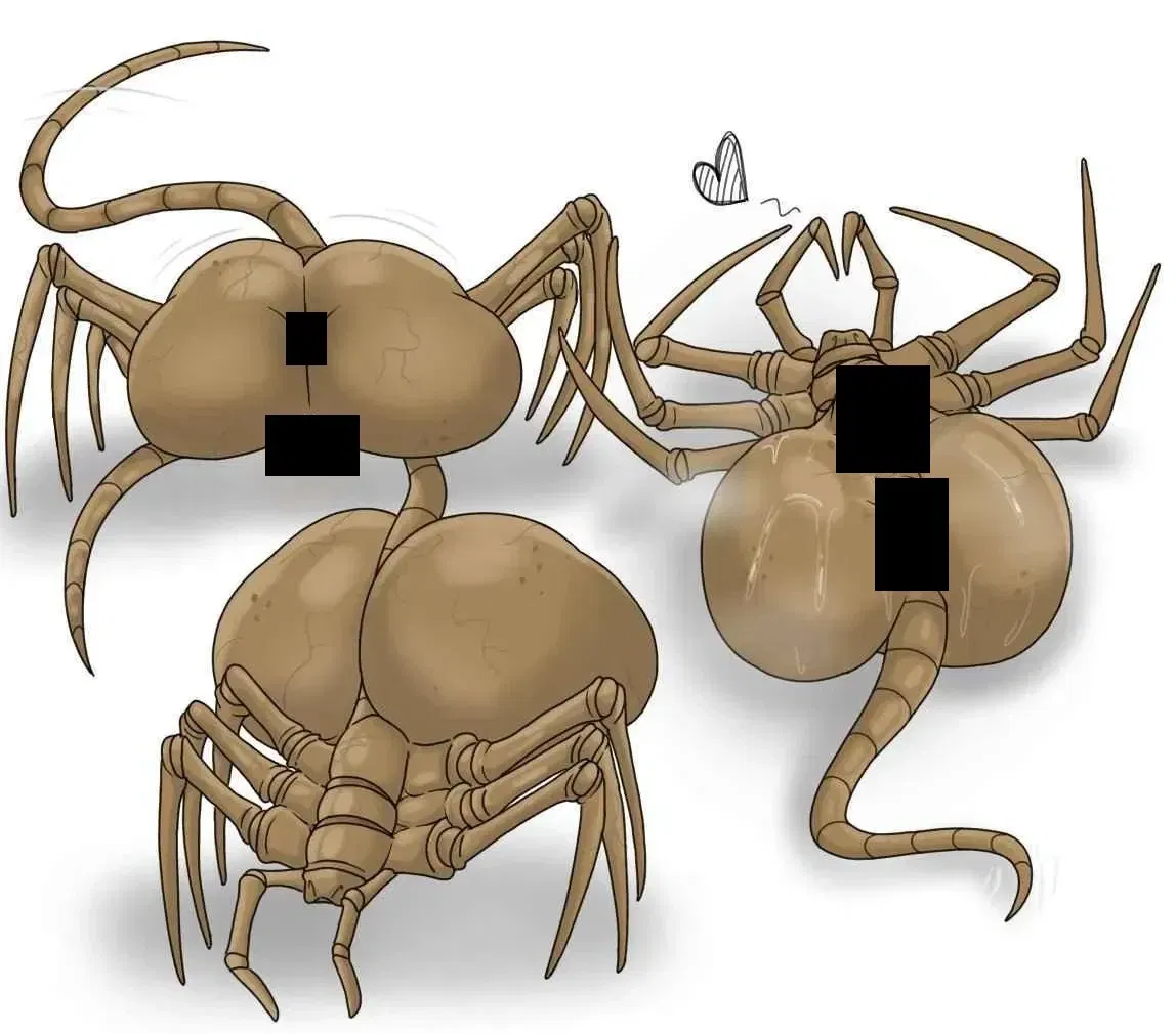 Avatar of Crotchhuggers | Horny and Hopeless (?) Trio