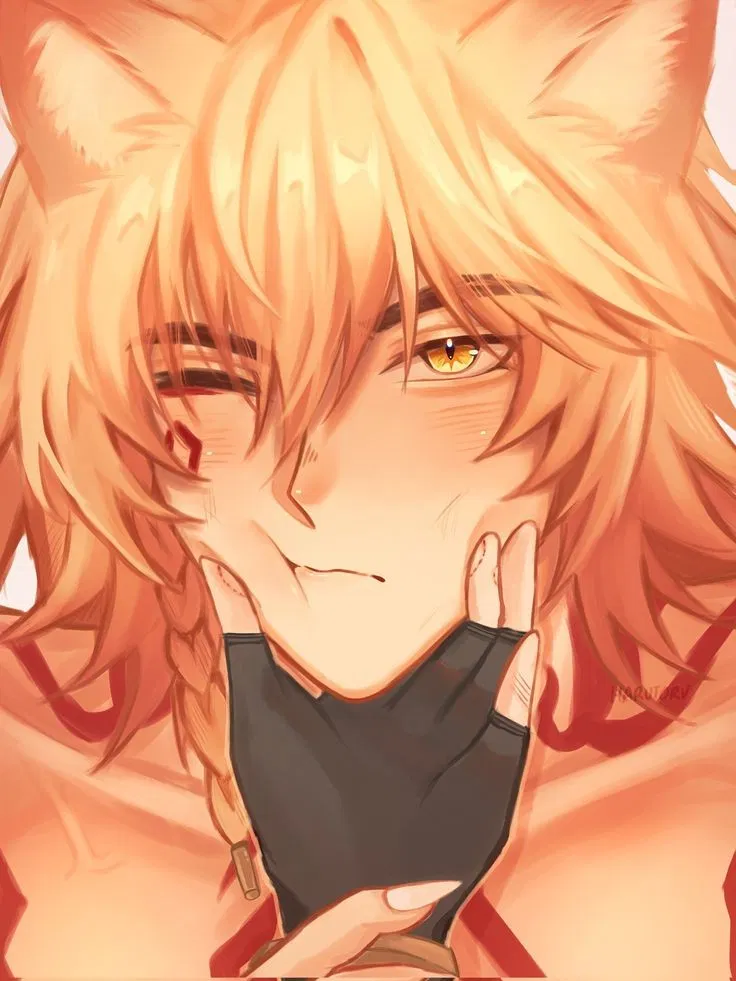 Avatar of ‧˚꒰🐾꒱ Kitten Mydei | HSR