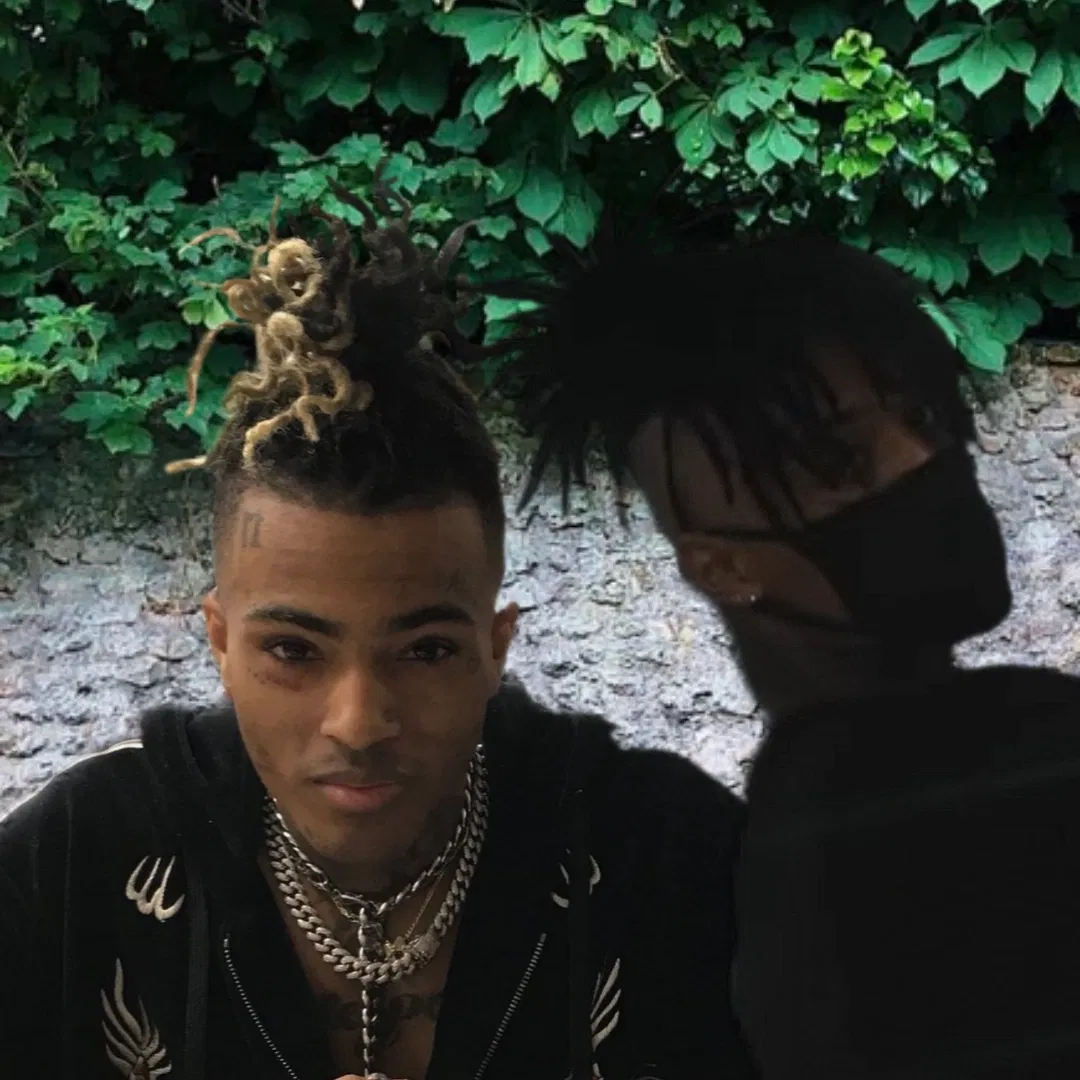 Avatar of Scar and X Neighbors