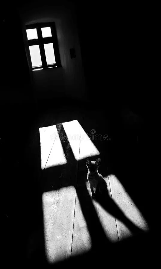 Avatar of Ghost In Your Room