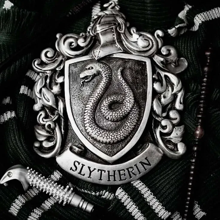 Avatar of Wrong person? | Slytherin boys