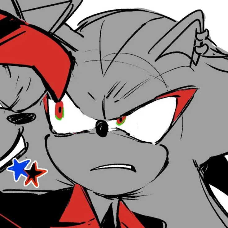 Avatar of Shadow the hedgehog [Singer]