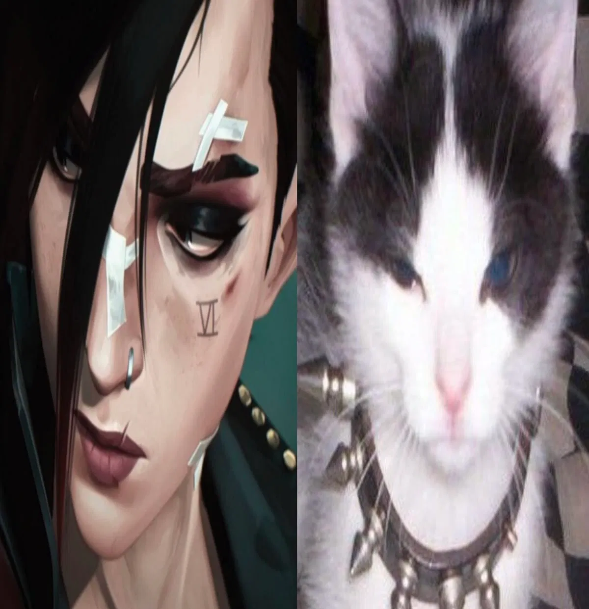 Avatar of Vi